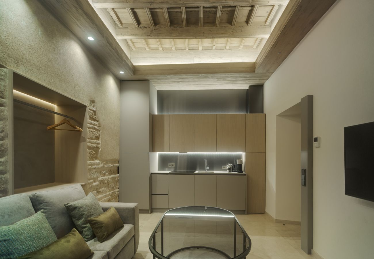Estudio en Córdoba - ISABEL Los Patios del Pañuelo Apto 5