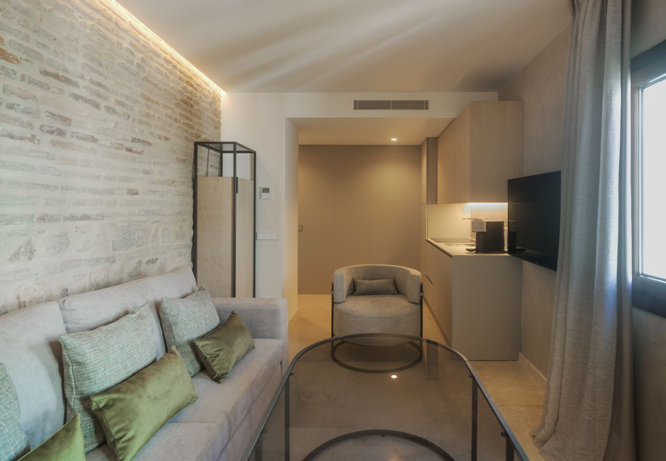 Apartamento en Córdoba - ANTONIO Y MATI Los Patios del Pañuelo Apto 14