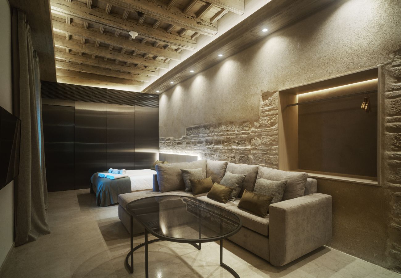 Studio in Córdoba - ISABEL Los Patios del Pañuelo Apto 5