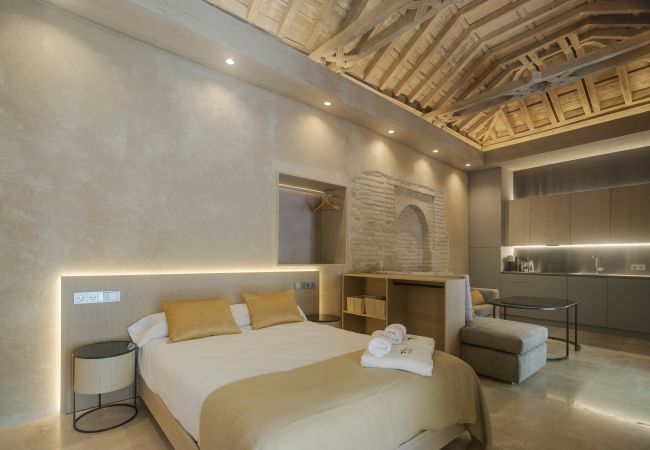 Studio in Córdoba - LORETO Los Patios del Pañuelo Apto 11 Studio in Córdoba - LORETO Los Patios del Pañuelo Apto 11